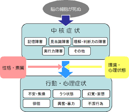 認知症とは Information 認知症の人と家族の会千葉県支部